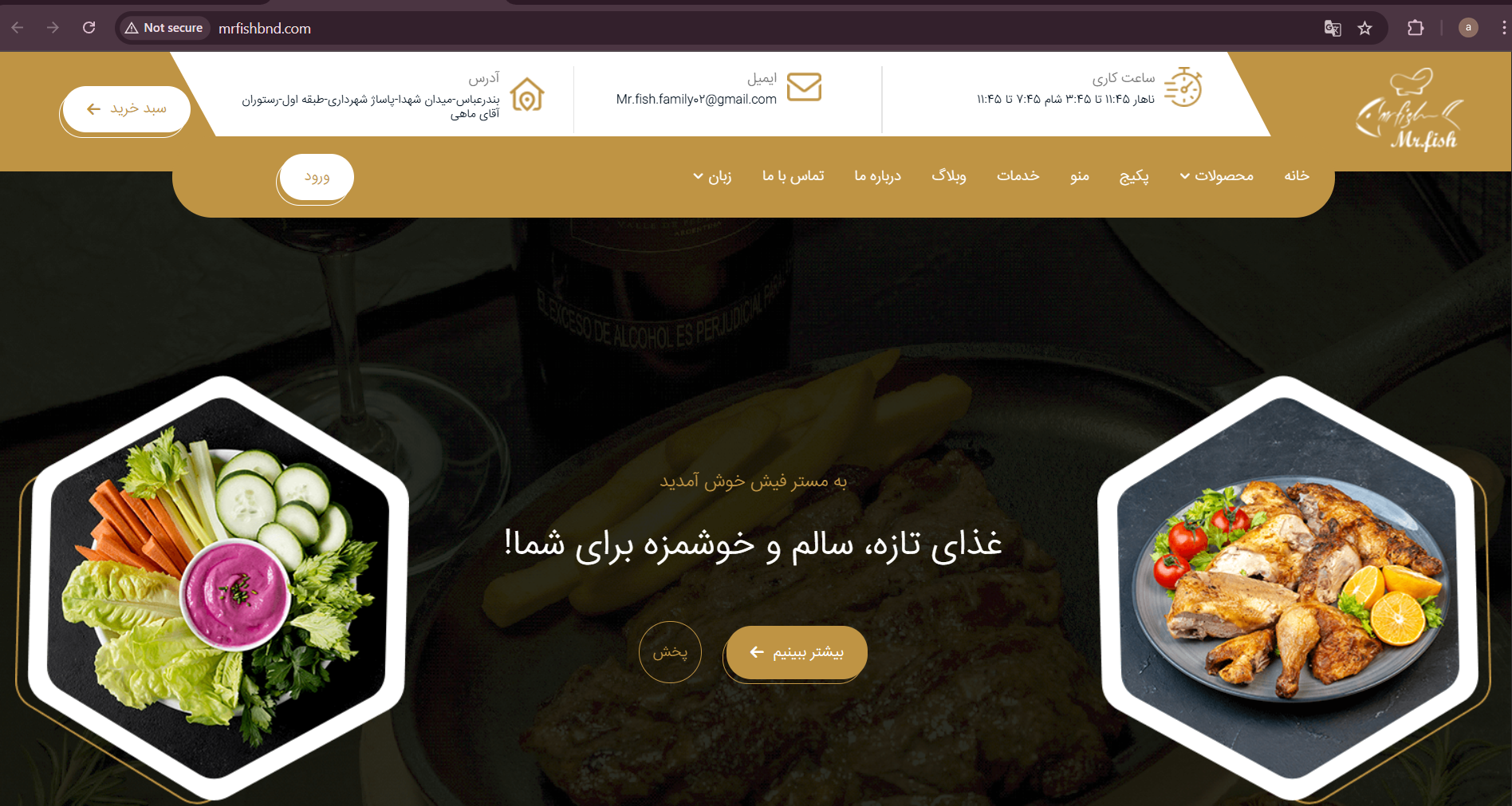 سایت مستر فیش بندرعباس